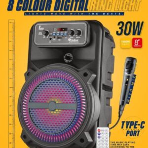 Portable Bluetooth Speaker